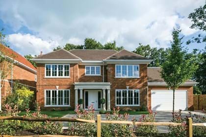Timber windows.jpg