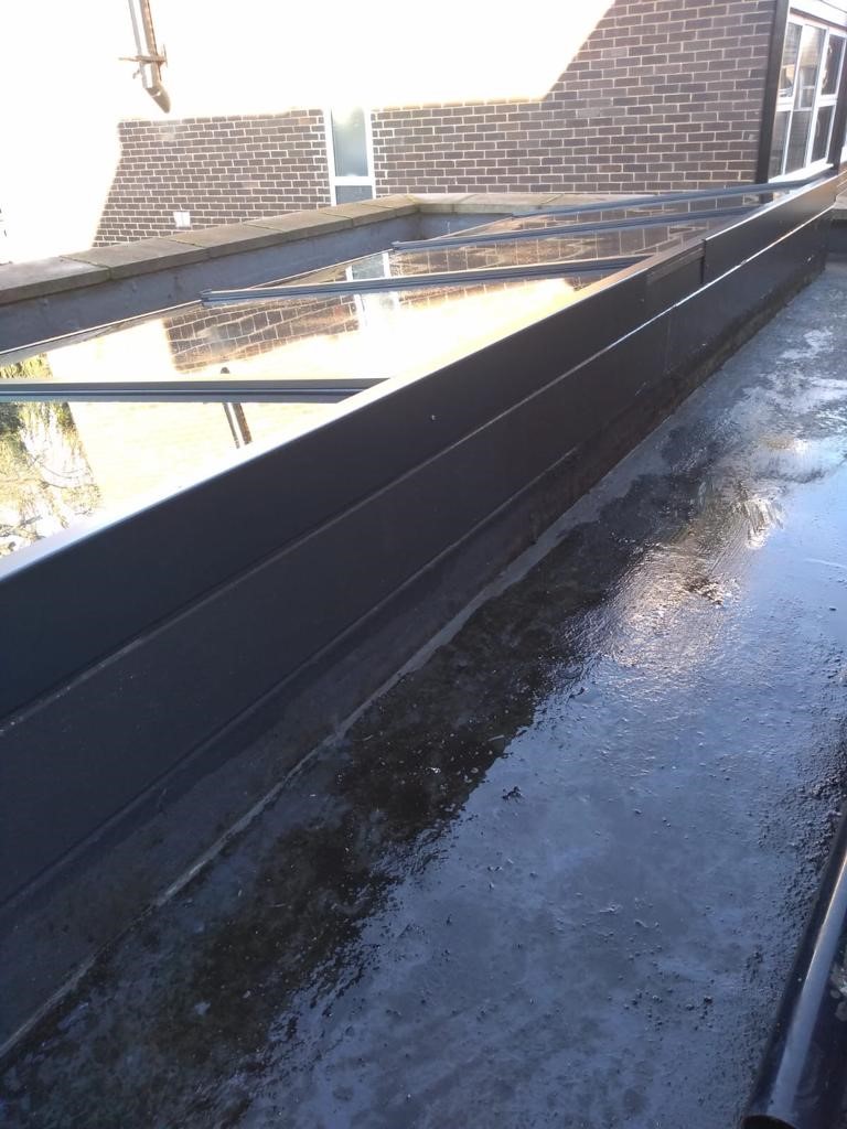 Teddington Rooflight 2