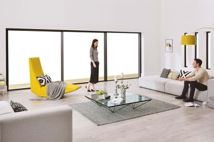 Large Gallery Image 1