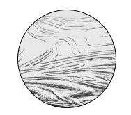 Taffeta