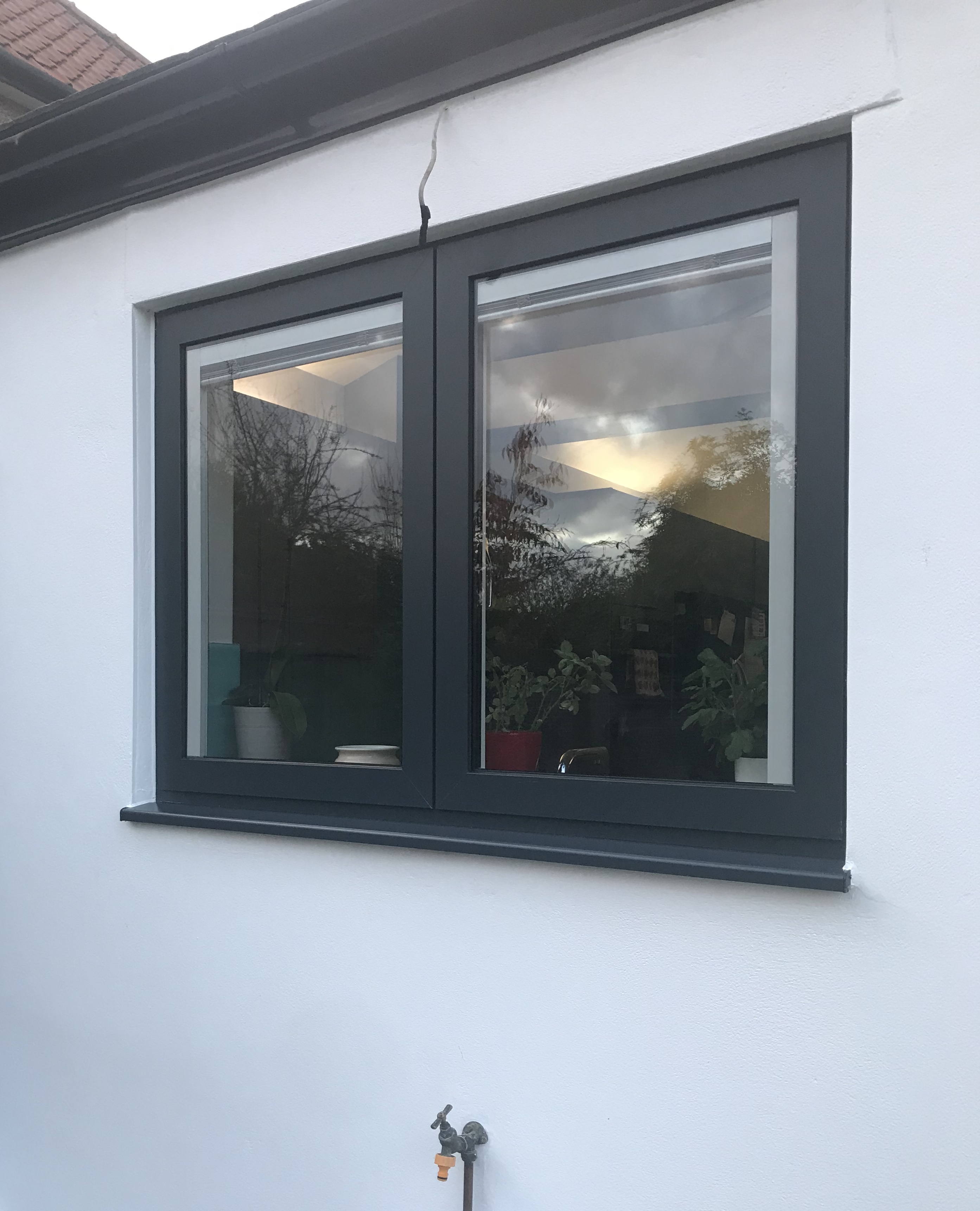 ali-window.jpg